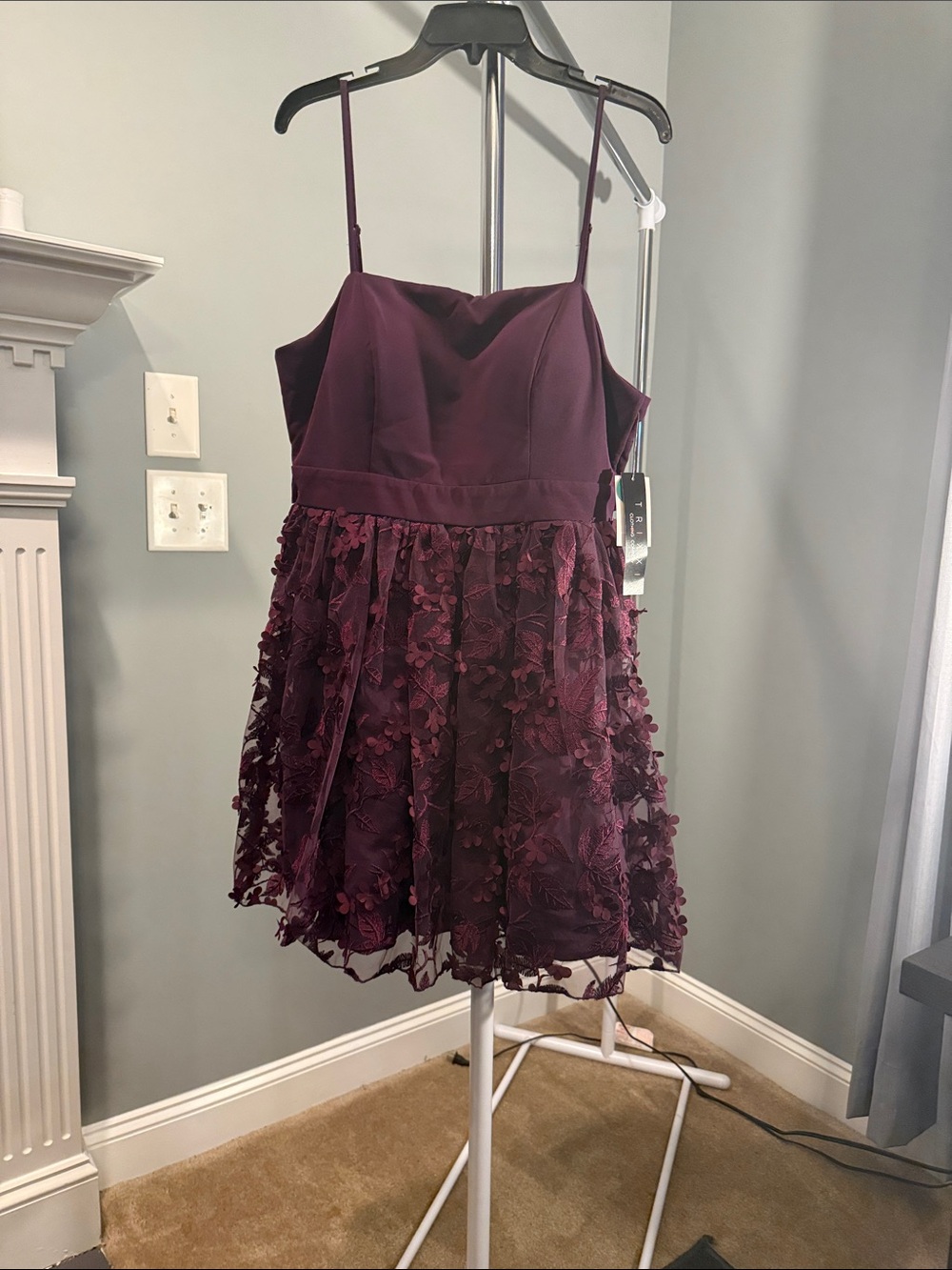 Trixxi Plum Floral Appliqué Mini Dress with Spaghetti Straps